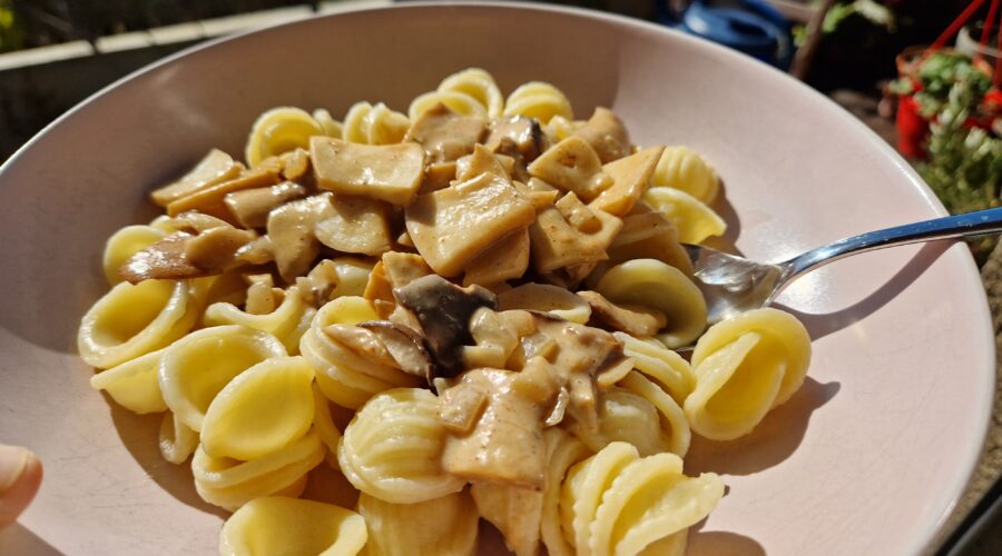 Pasta mit veganer Pilzrahmsauce